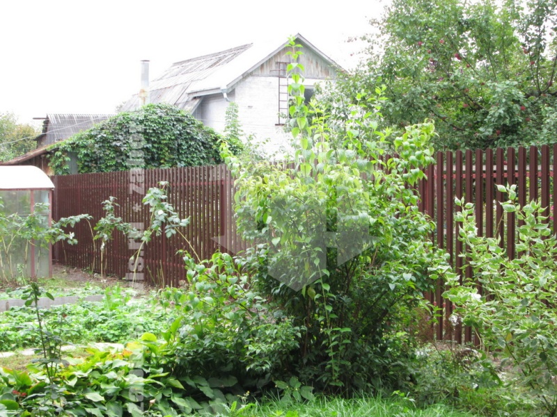 Забор из евроштакетника с забивными столбами 125 метров