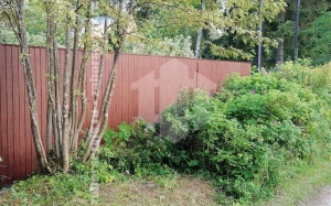 Забор из профнастила под дерево 41 метр