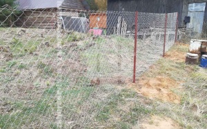 Забор из сетки рабицы в натяг с протяжкой арматуры 80 метров